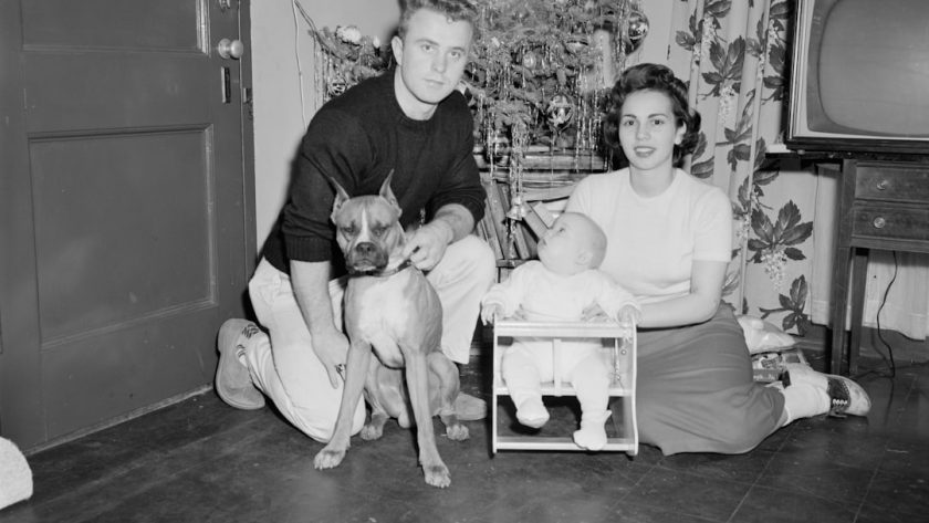 découvrez l'art de la photographie, une passion qui capture des moments fugaces et sublime la beauté du monde. apprenez des techniques, explorez des styles variés et laissez libre cours à votre créativité à travers l'objectif.